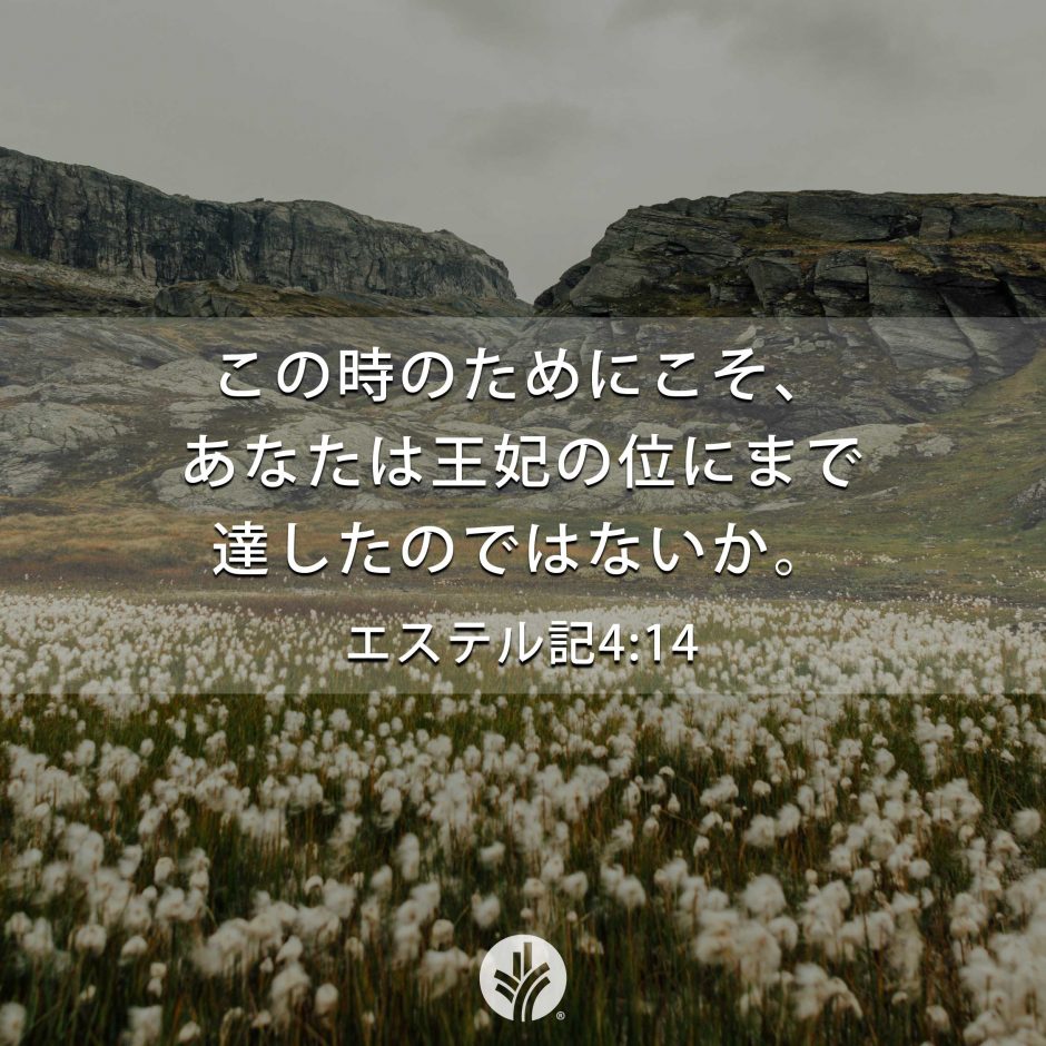 Share ODB 25-07-24