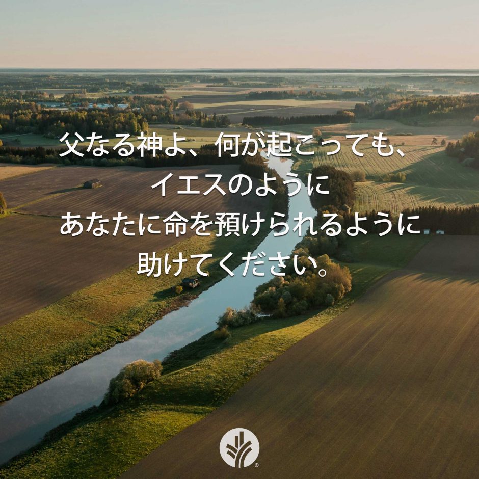 Share ODB 25-07-27