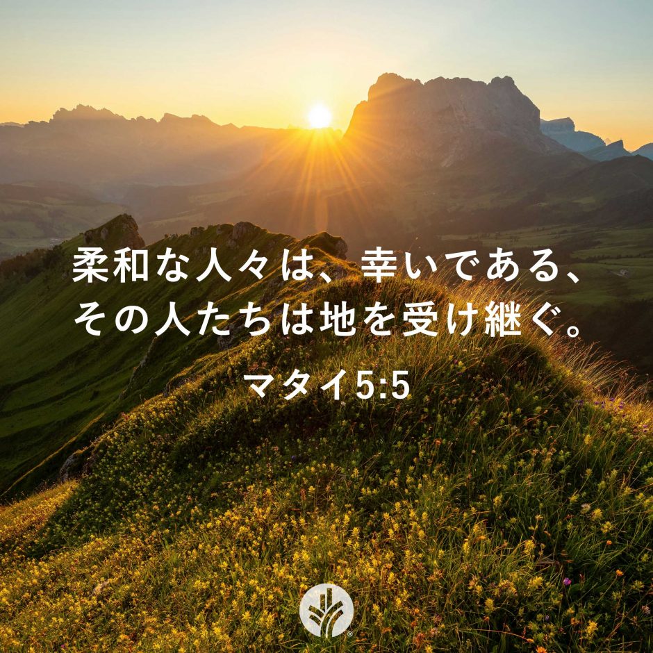 ODB Share 25-08-01