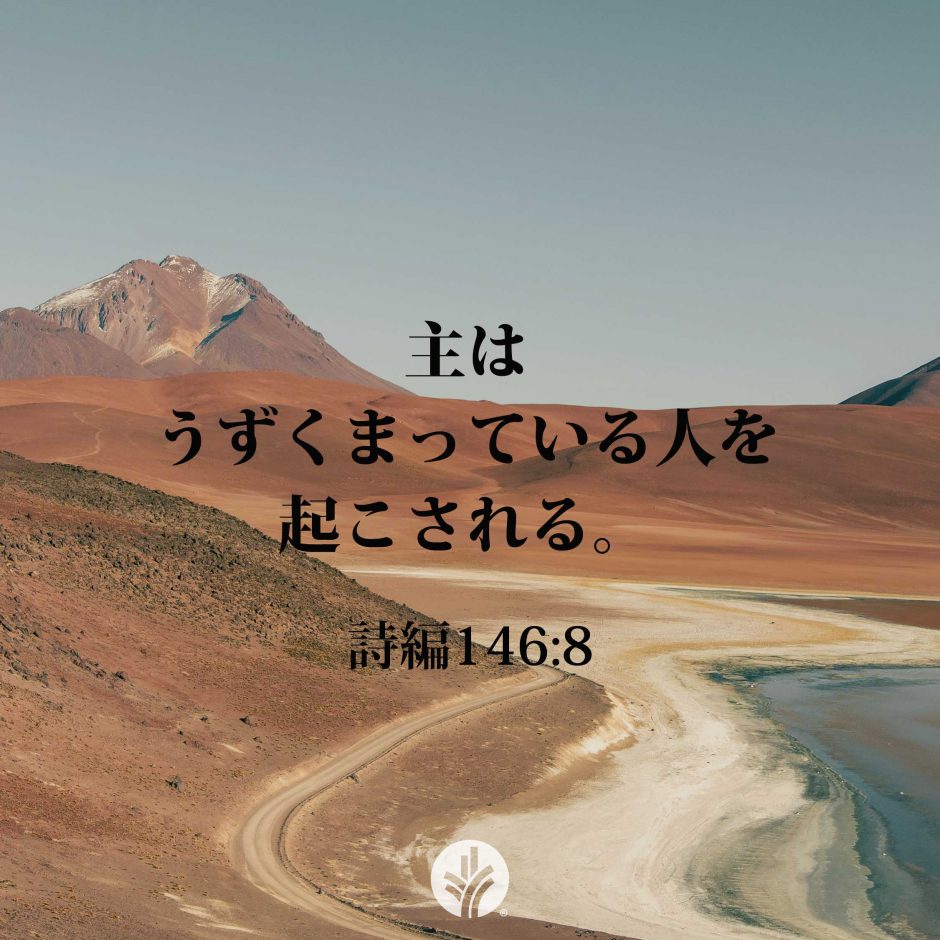 ODB Share 25-08-22