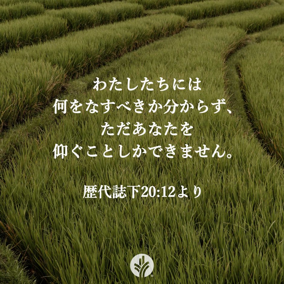 ODB Share 25-09-10