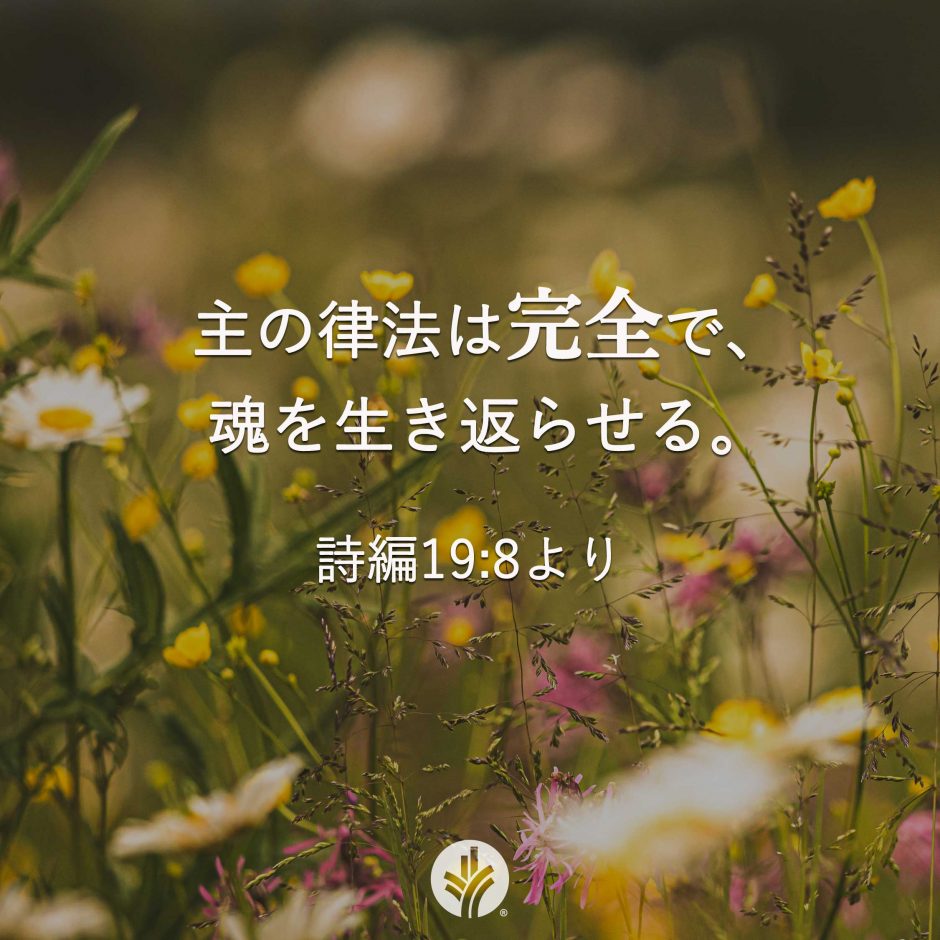 ODB Share 25-09-20