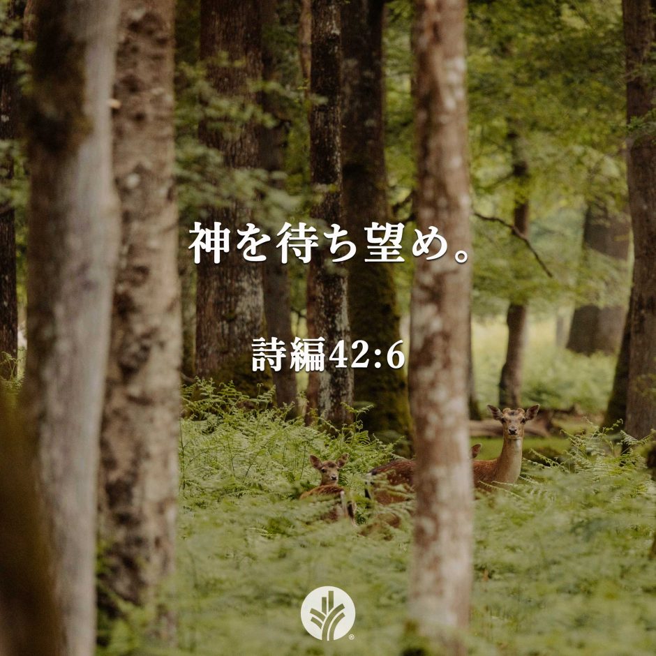 ODB Share 26-02-21 ODB Share 26-02-21