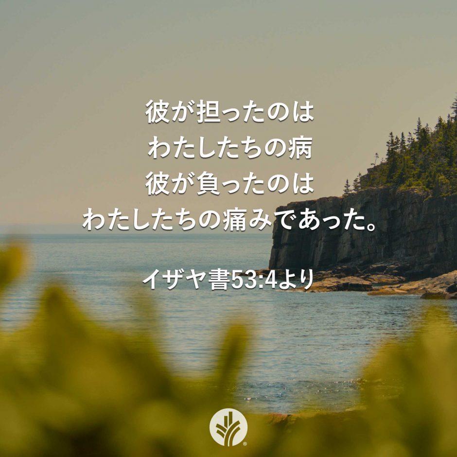 ODB Share 26-02-24 ODB Share 26-02-24