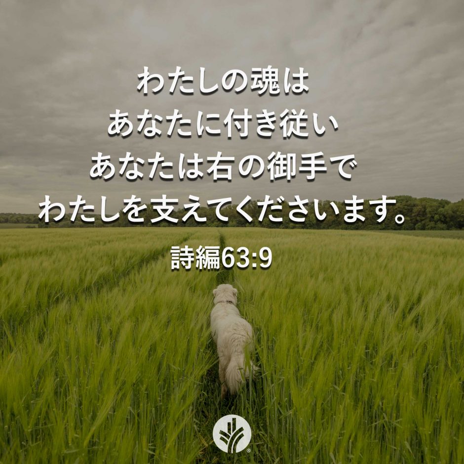 ODB Share 26-04-11 ODB Share 26-04-11