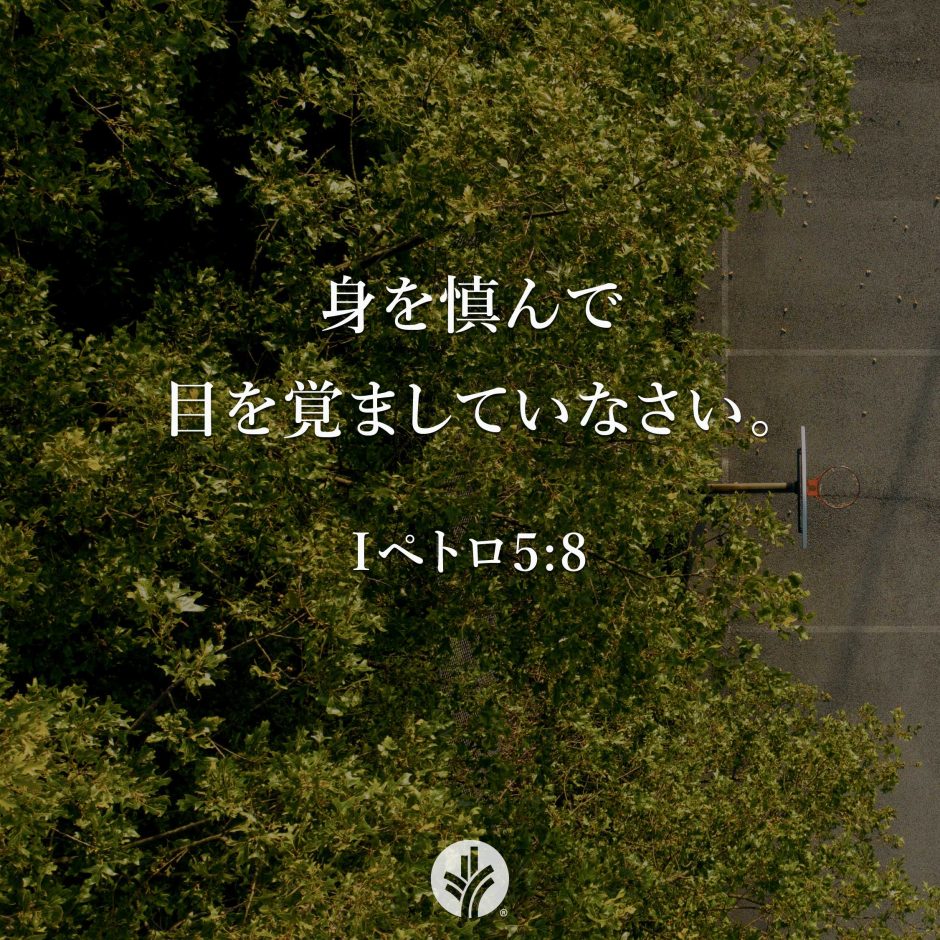 ODB Share 26-05-02