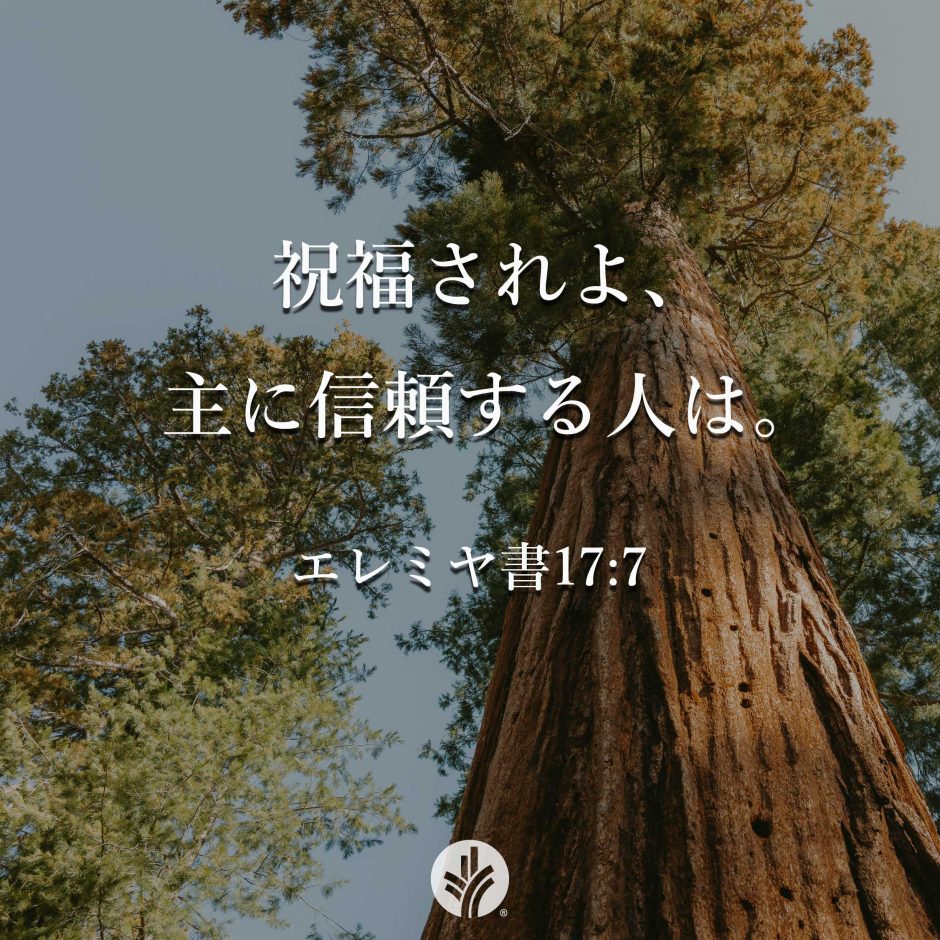 ODB Share 26-05-17R ODB Share 26-05-17R