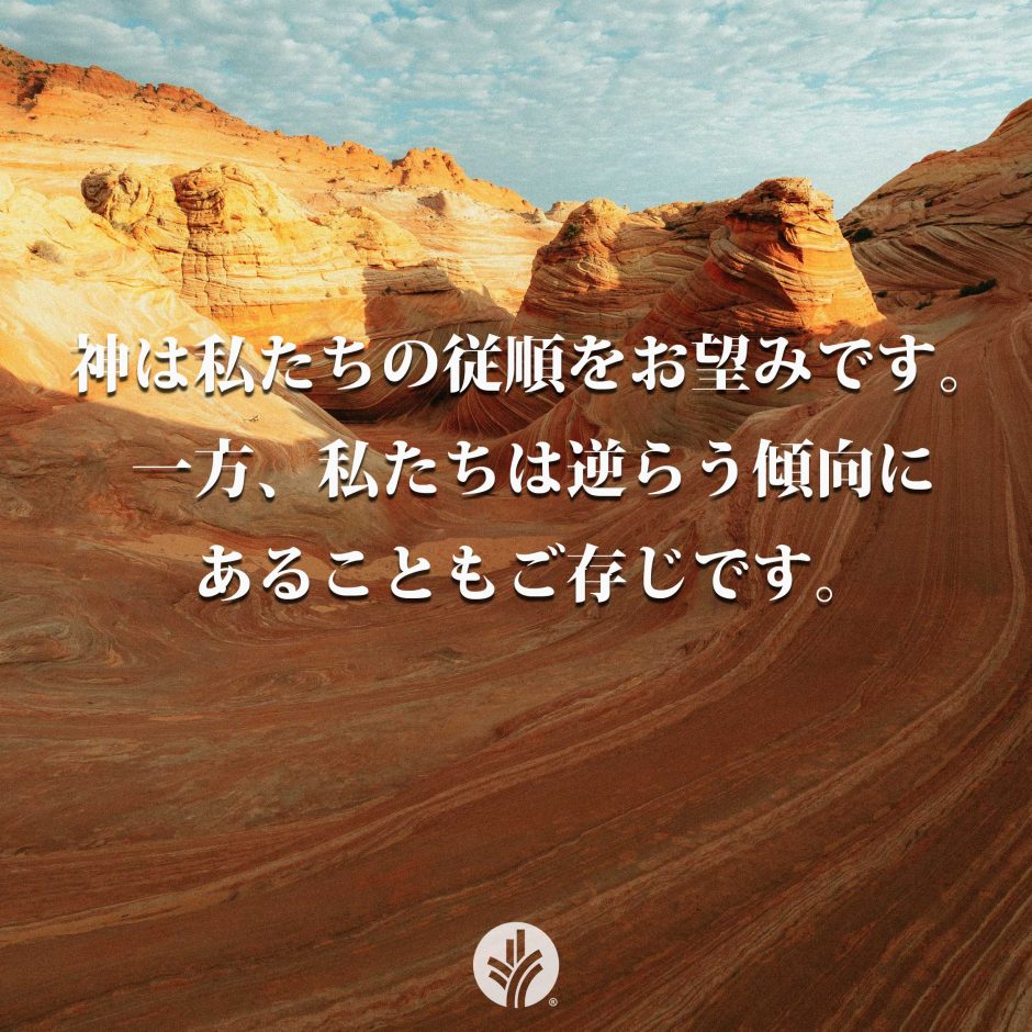 ODB Share 26-05-28R ODB Share 26-05-28R