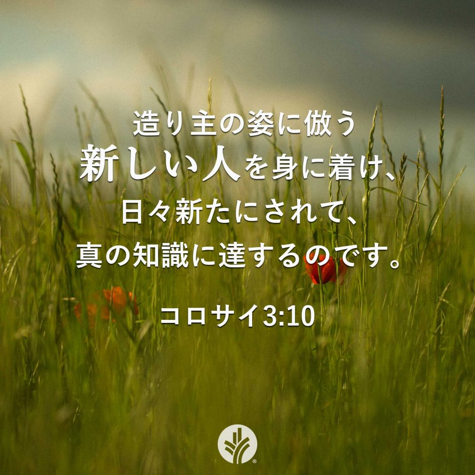 ODB Share 26-06-23