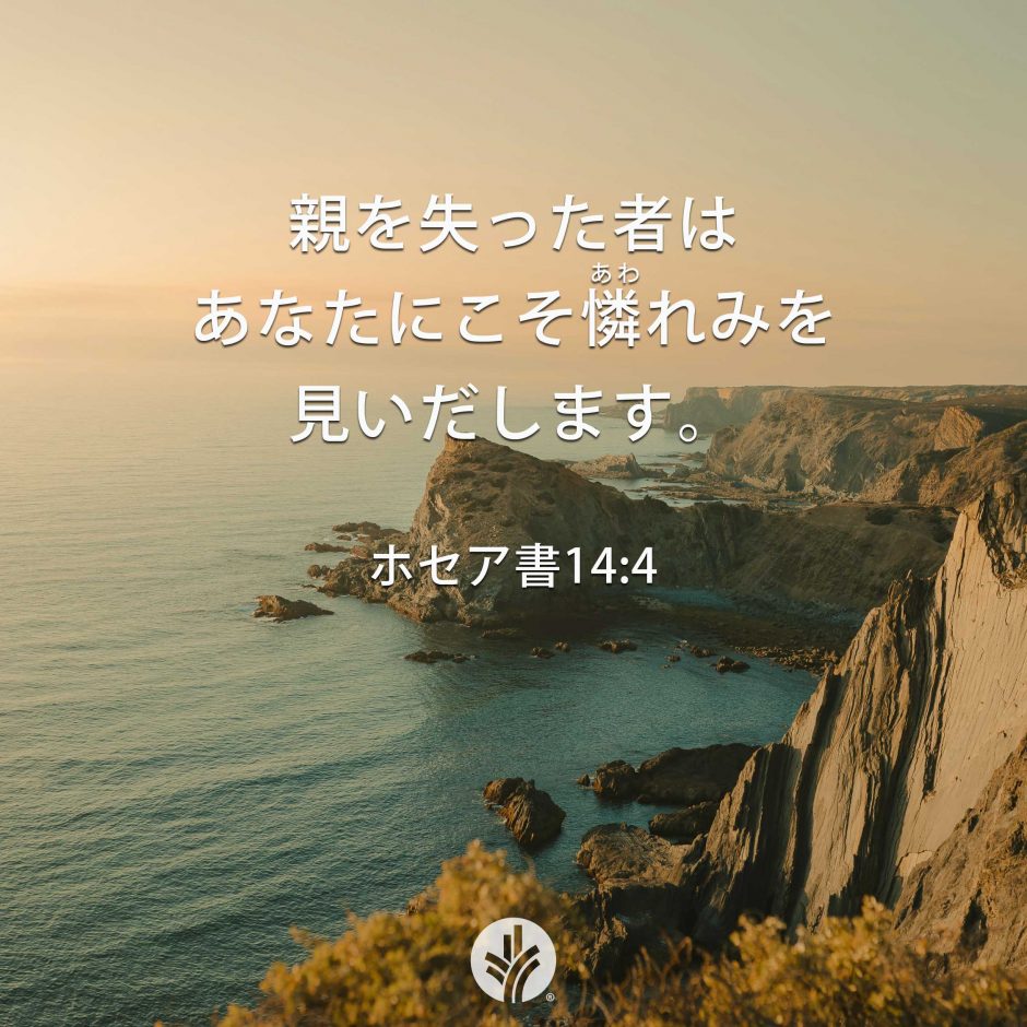 ODB Share 26-06-25 ODB Share 26-06-25
