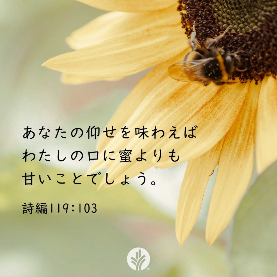 ODB Share 26-06-28