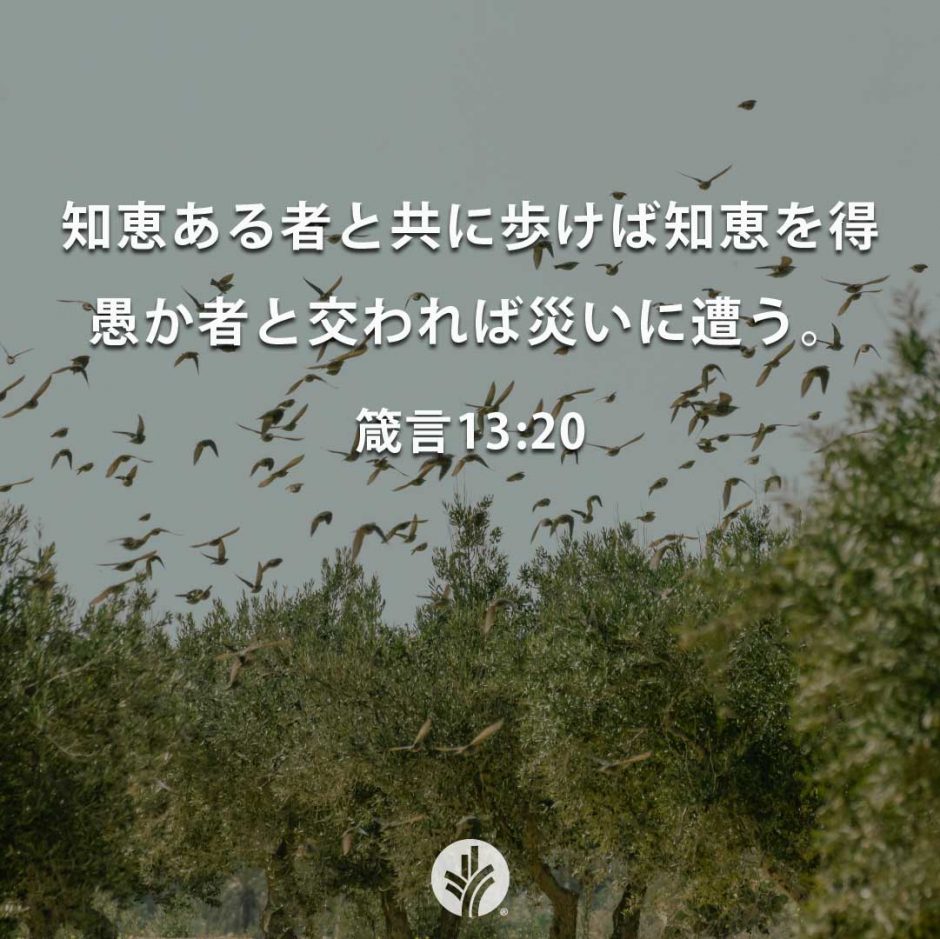ODB Share 26-07-29