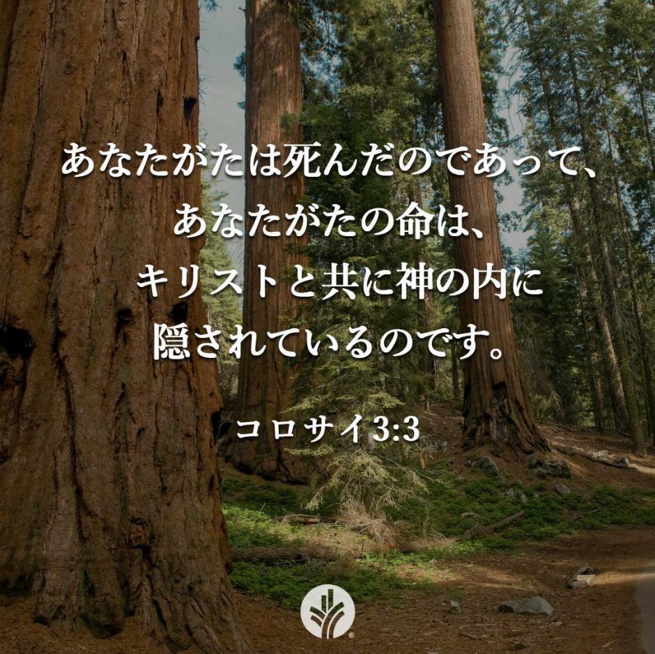 ODB Share 26-07-30 ODB Share 26-07-30